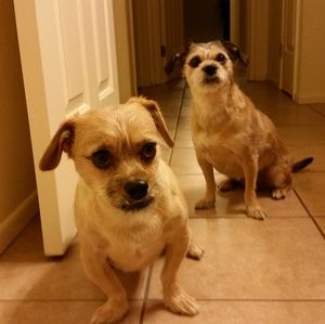 Meet your Posher, Julia